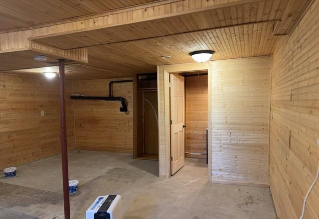 basement featuring wooden ceiling and wooden walls