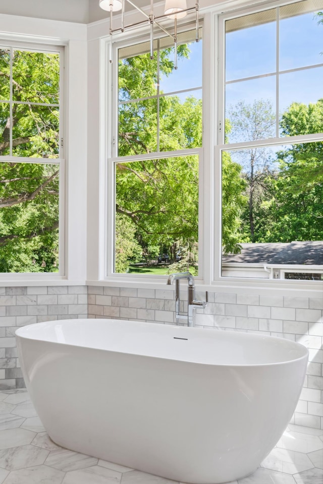 bathroom with a healthy amount of sunlight and a tub