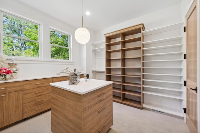 spacious closet with light carpet