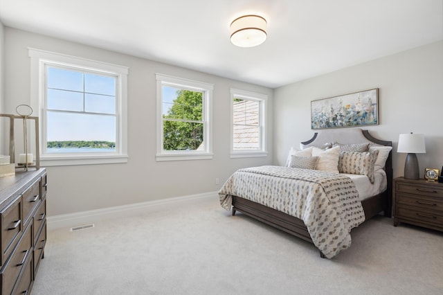 carpeted bedroom with multiple windows