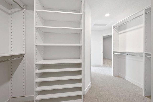 walk in closet featuring carpet floors