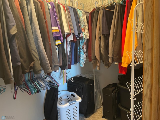 spacious closet featuring carpet flooring