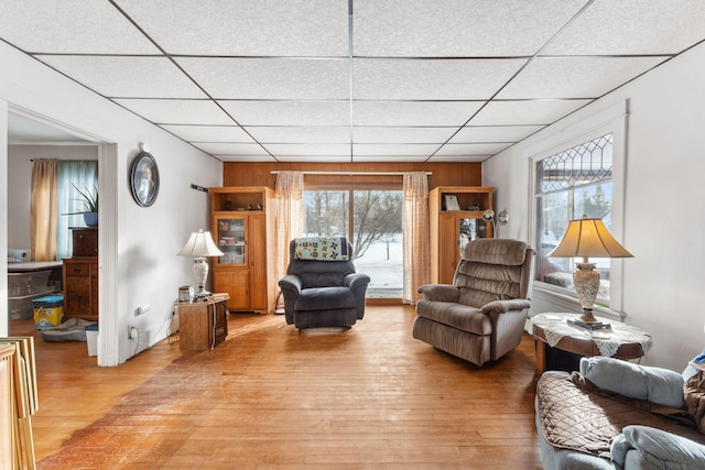 living room featuring a paneled ceiling, a wealth of natural light, and wood-type flooring