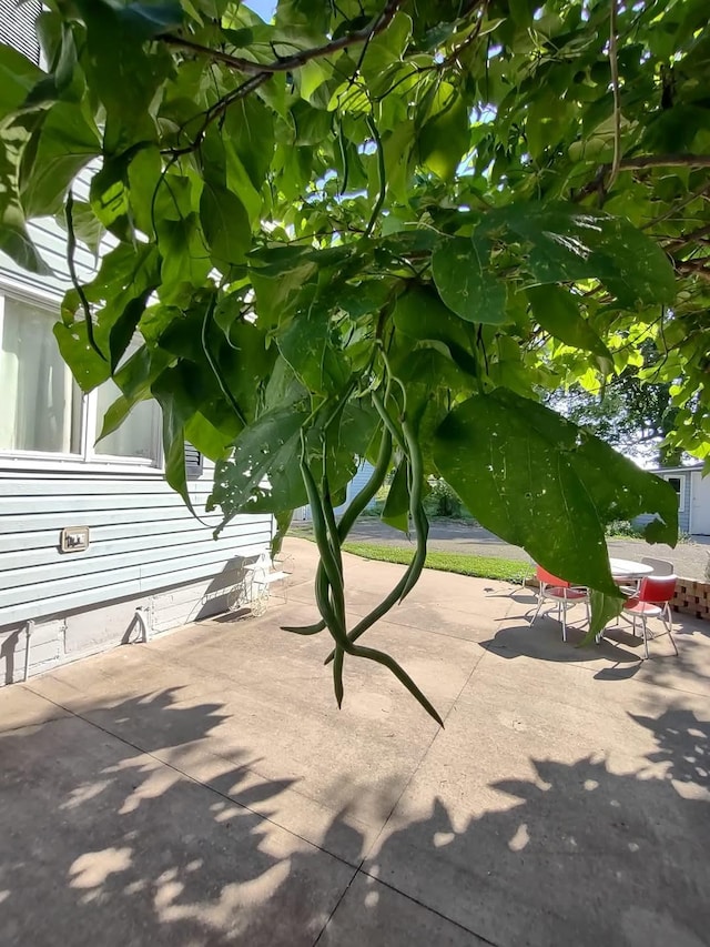 surrounding community with a patio area