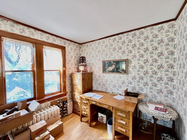 office area featuring crown molding and light wood-type flooring