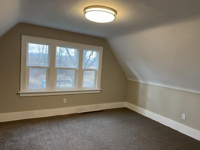 additional living space with carpet flooring, plenty of natural light, and lofted ceiling