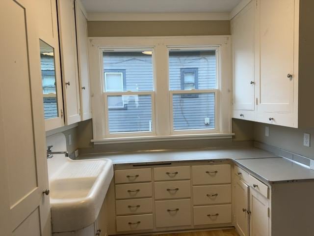 kitchen featuring white cabinets, wood-type flooring, and sink