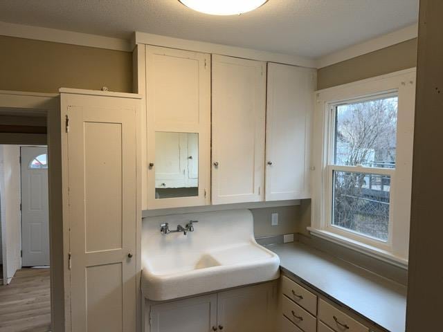 interior space with sink and hardwood / wood-style flooring