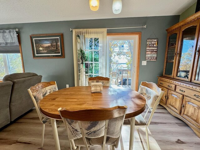 dining area featuring light hardwood / wood-style floors