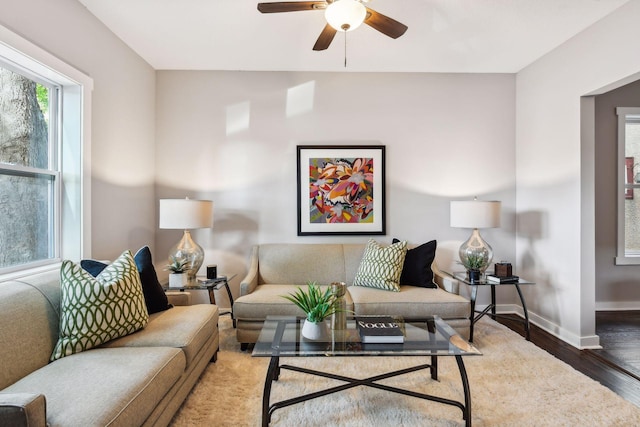 living room with ceiling fan and hardwood / wood-style flooring