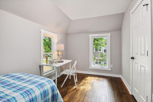 bedroom with dark hardwood / wood-style floors and vaulted ceiling