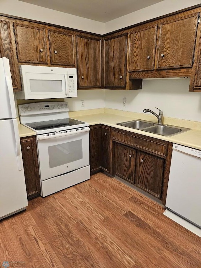 kitchen with dark brown cabinets, white appliances, light hardwood / wood-style floors, and sink