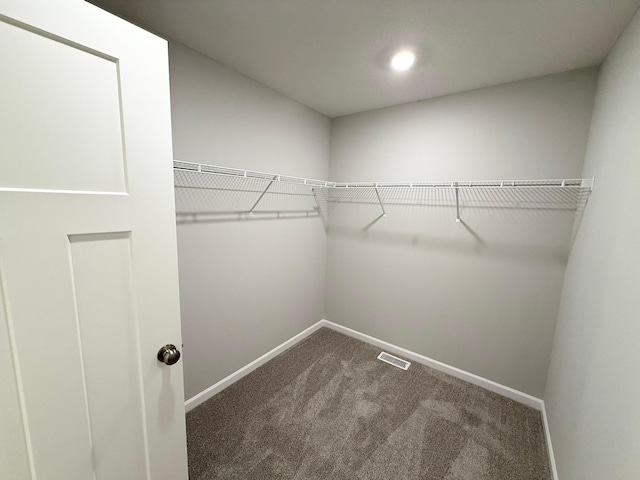 spacious closet with carpet