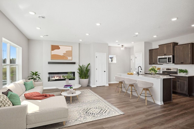 living room featuring dark wood-type flooring and sink