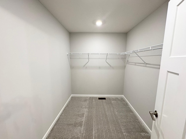 spacious closet with carpet