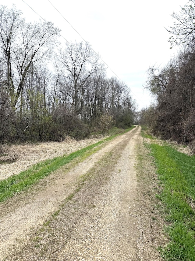 11365 Platt Ave SW, Cokato, MN 55321 - view of road