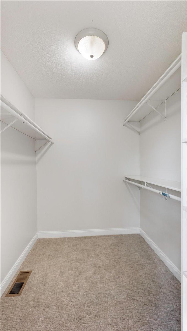 walk in closet with carpet flooring