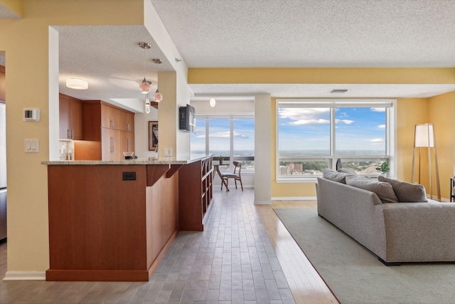 living room featuring hardwood / wood-style floors and a textured ceiling