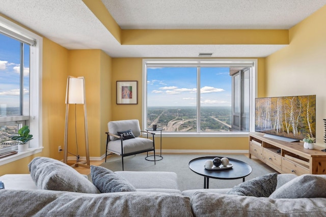 living room featuring carpet floors and a textured ceiling