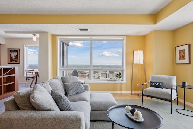 living room featuring a textured ceiling, a raised ceiling, and a healthy amount of sunlight