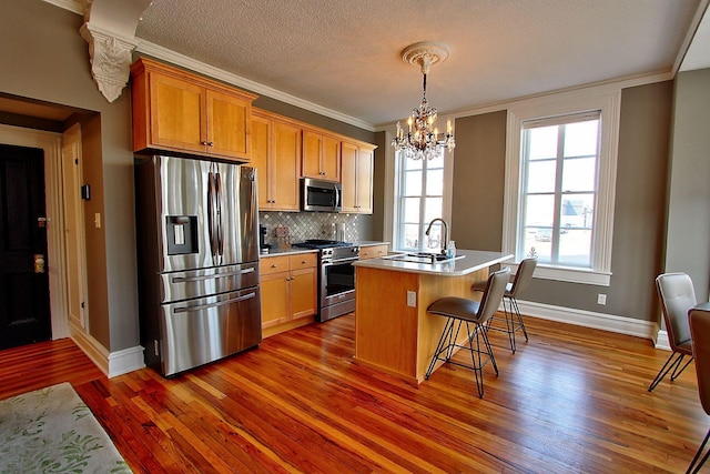 kitchen with dark hardwood / wood-style flooring, sink, stainless steel appliances, and an island with sink