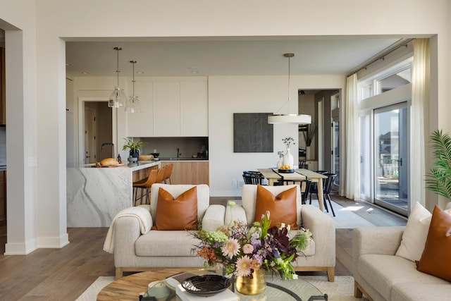 living room featuring light hardwood / wood-style flooring