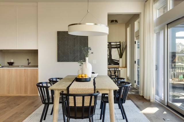 dining room featuring sink and wood-type flooring