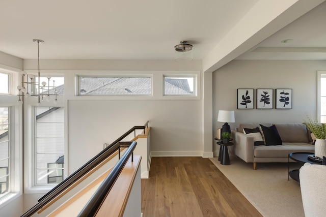 corridor with hardwood / wood-style flooring, a healthy amount of sunlight, and a chandelier