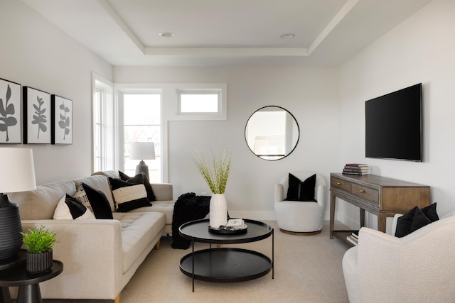 living room featuring a tray ceiling