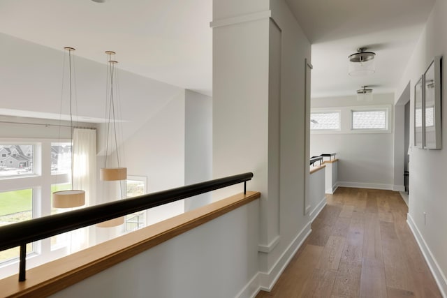 corridor featuring hardwood / wood-style floors and a wealth of natural light