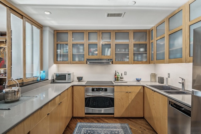 kitchen featuring appliances with stainless steel finishes, sink, dark hardwood / wood-style floors, and exhaust hood