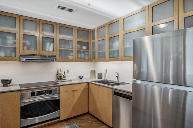 kitchen featuring dark hardwood / wood-style flooring, sink, and stainless steel appliances