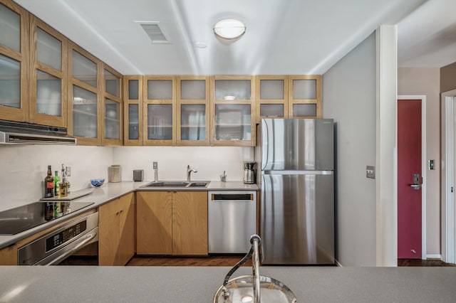 kitchen featuring sink, stainless steel appliances, and range hood