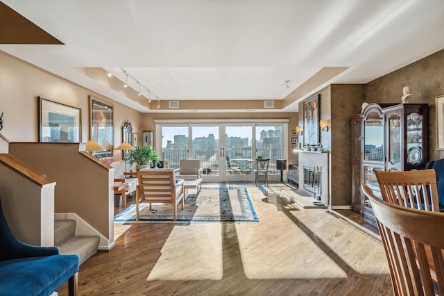 living room with hardwood / wood-style flooring and rail lighting