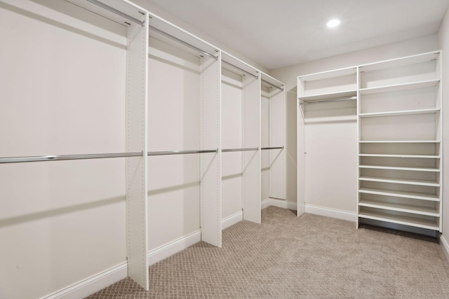 spacious closet with light colored carpet