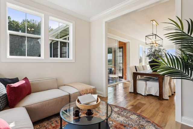 living room featuring an inviting chandelier, wood-type flooring, and ornamental molding