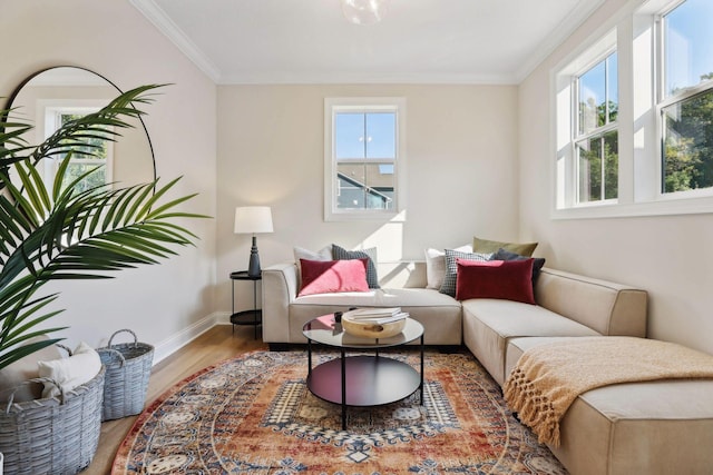 living area featuring ornamental molding and wood-type flooring