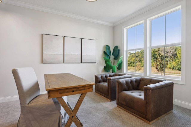 carpeted home office with ornamental molding