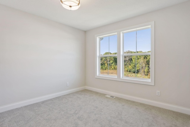 spare room featuring carpet floors