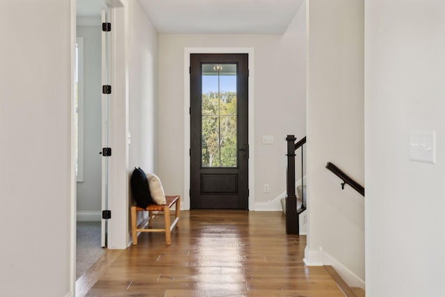 foyer with dark wood-type flooring