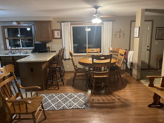 dining area featuring hardwood / wood-style floors, a textured ceiling, ceiling fan, and sink