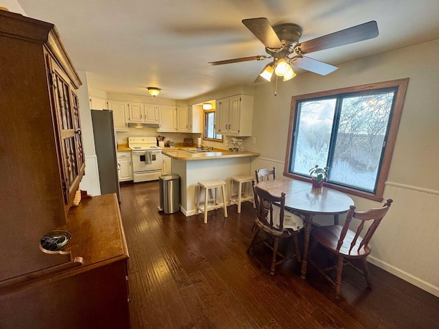 dining space featuring ceiling fan, sink, and dark wood-type flooring