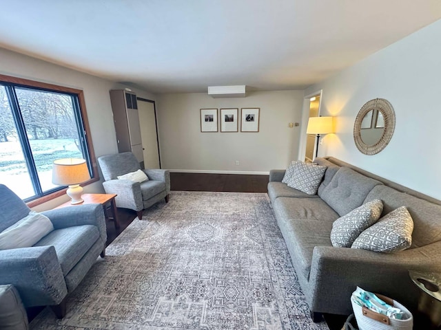 living room with wood-type flooring