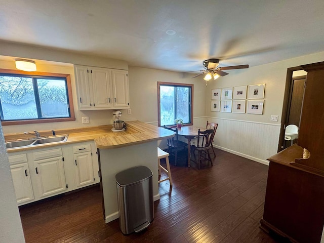 kitchen with white cabinets, dark hardwood / wood-style flooring, plenty of natural light, and sink