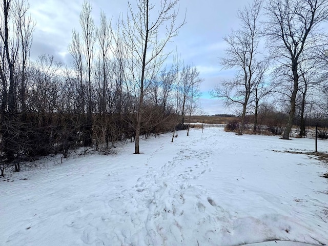 view of yard layered in snow