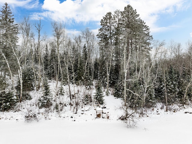 view of snow covered land