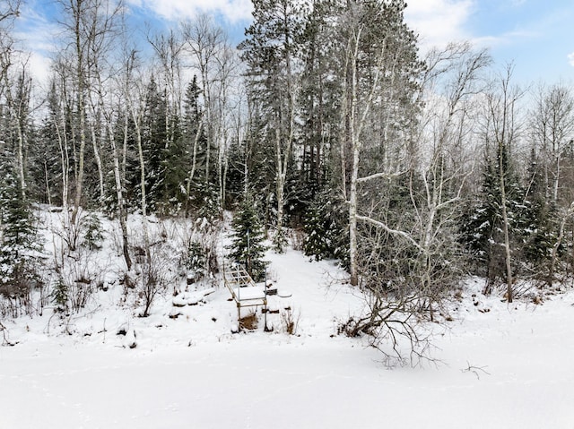 view of snowy view