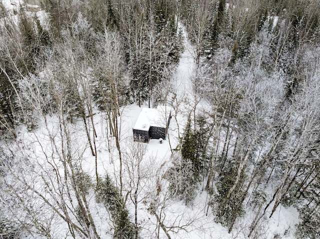 view of snowy aerial view