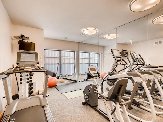 workout area with carpet floors