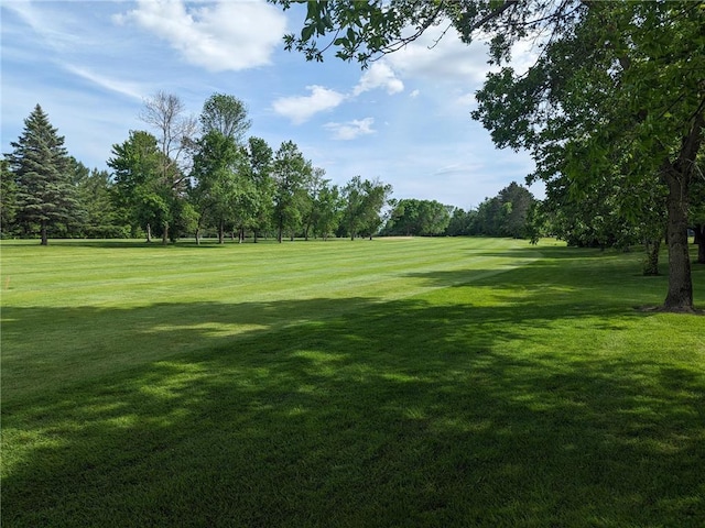 surrounding community featuring a yard